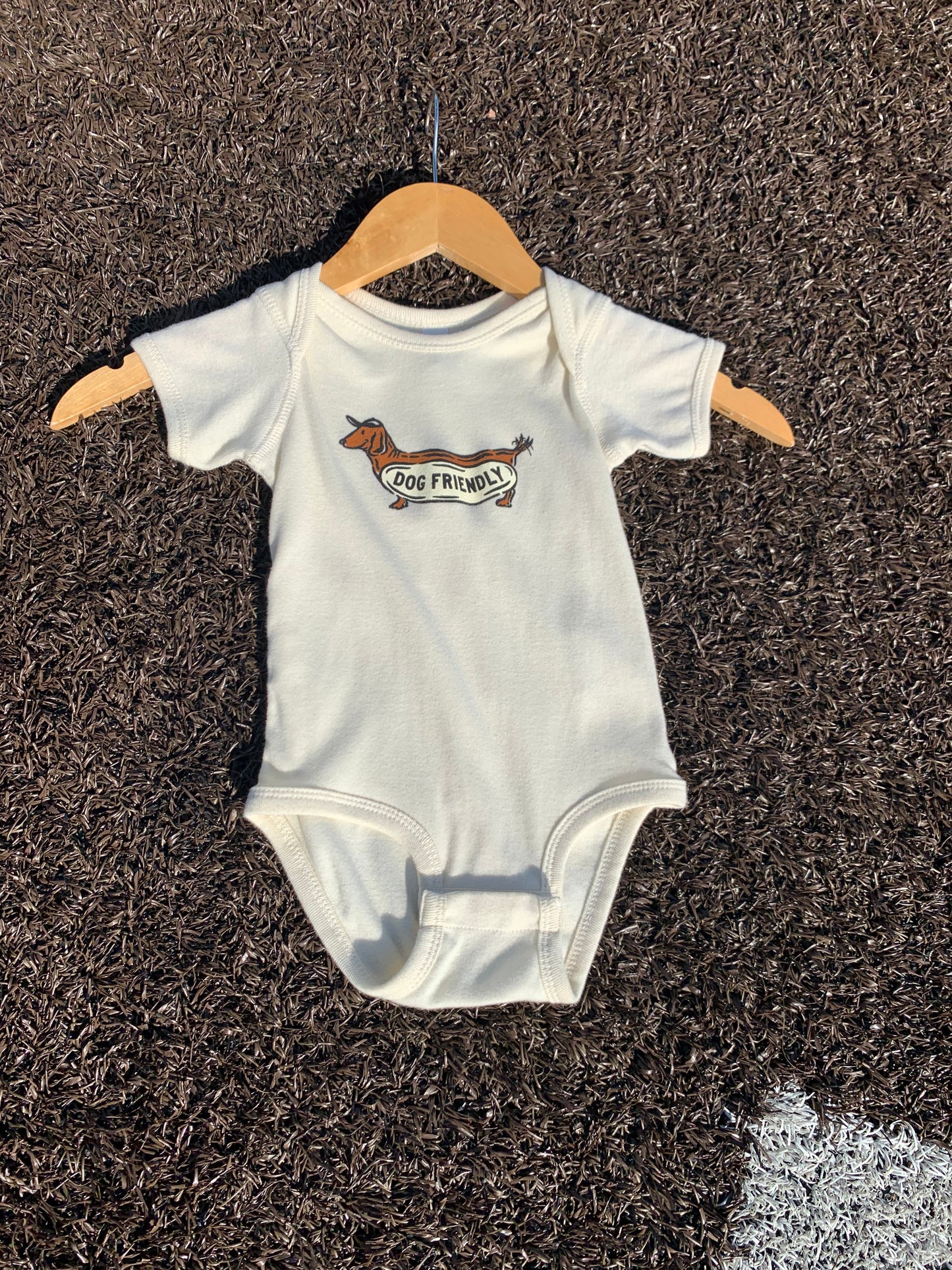 "Dog Friendly" Onesie